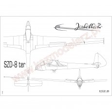 Szybowiec SZD-8 Jaskółka ter - Orlik 176