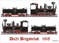 Parowóz wąskotorowy Dn2t Brigadelok - Modelik 9/23