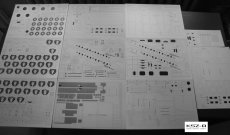 Szkielet, detale do...