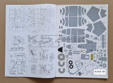 Sea Harrier FRS.Mk 1 - Haliński 4-5/98