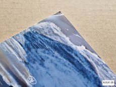 TOPAS 2AP transporter opancerzony - Angraf 1/2017 (uszk.)