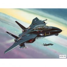REVELL 04029 - F-14 A Black Tomcat