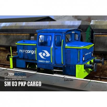 Angraf 11/17 - SM 03 PKP Cargo