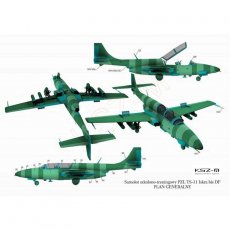 TS-11 Iskra bis DF 1716 - MS Model 011