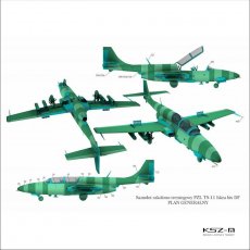 TS-11 Iskra bis DF 1706 - MS Model 008